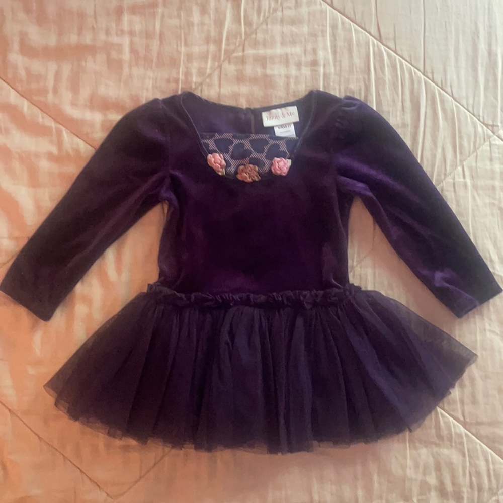 Toddler girl’s purple dress (2T)